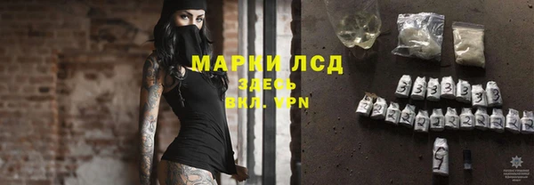 ешки Арсеньев