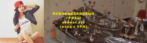 кокс Аркадак