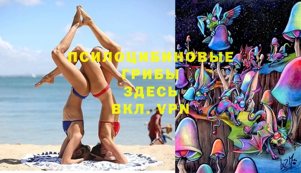 ешки Арсеньев