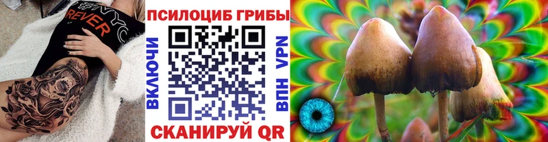 Псилоцибиновые грибы GOLDEN TEACHER  Купить  Кыштым 