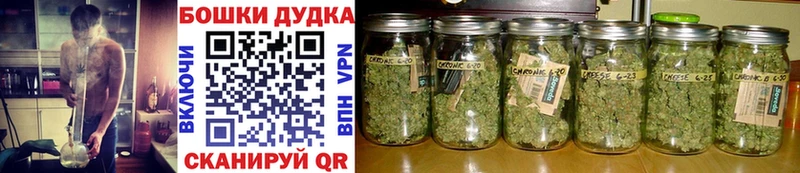 Купить где  Кыштым  Шишки марихуана планчик 